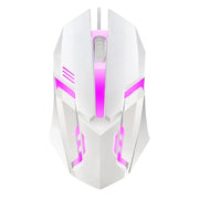 5000 DPI Gaming-Maus – Silent Click, ergonomisches Design & Beleuchtung | USB für PC & Laptop